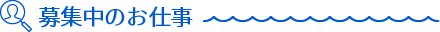 募集中のお仕事