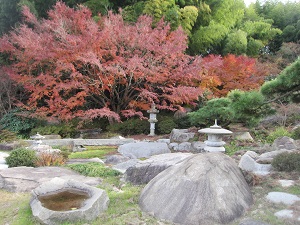 金井庭園
