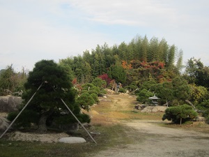 金井庭園