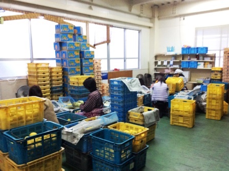 株式会社いわぎ物産センター