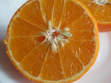 （株）ぽんぽこらんど