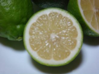 （株）ぽんぽこらんど