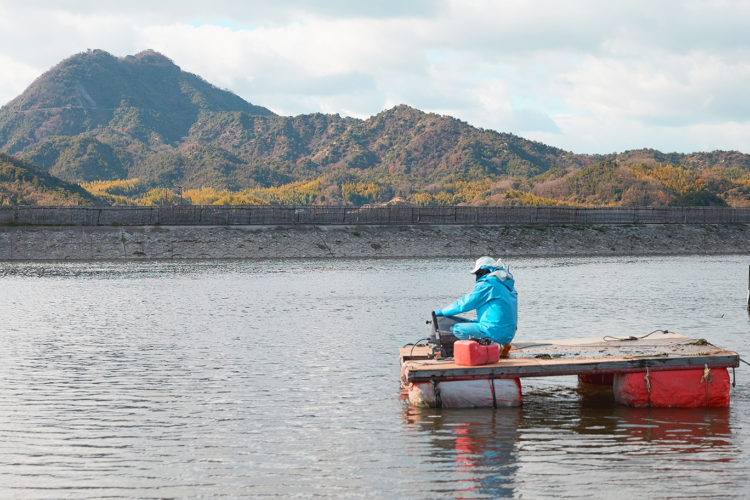 日輪養魚有限会社